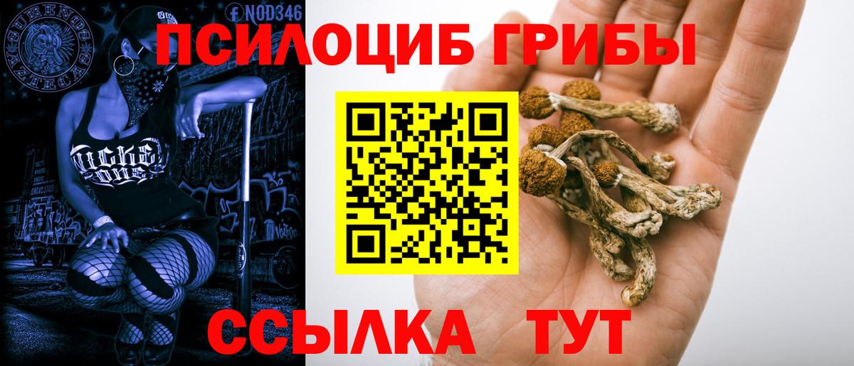 Галлюциногенные грибы ЛСД Озёрск
